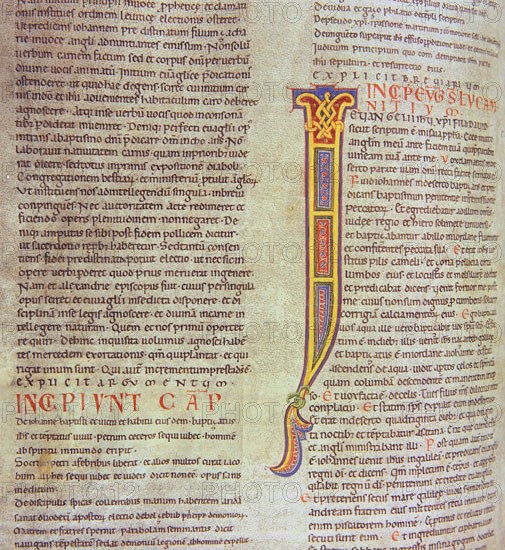 Biblia de Avilia, Codex