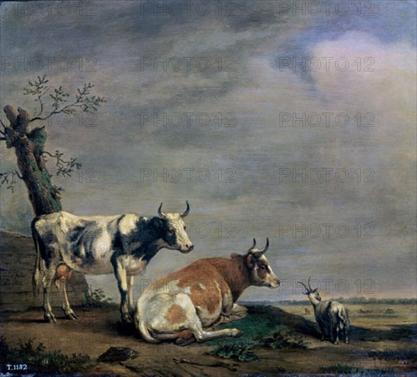 Paulus Potter, Deux vaches