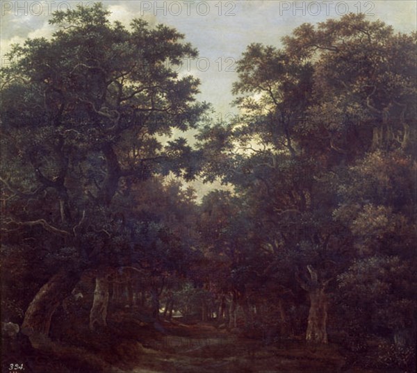 Van Ruysdael, La forêt