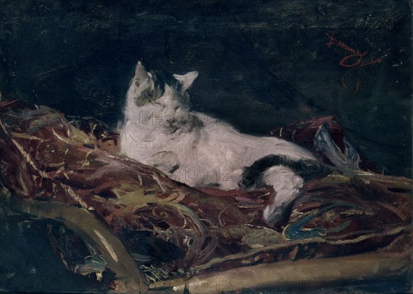 Domingo Marques, The cat on the cushion