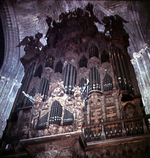 Organ