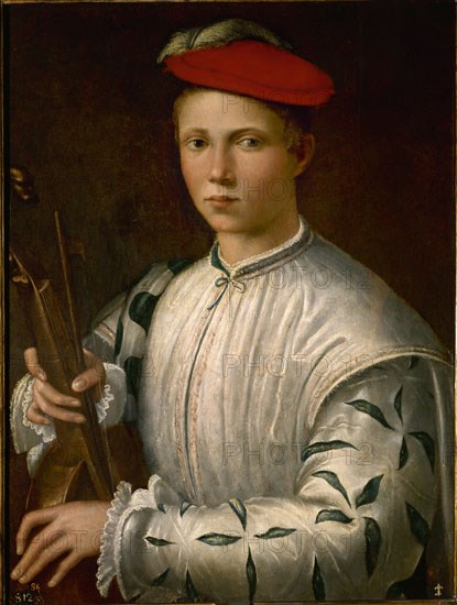 Anonymous, The Viola player