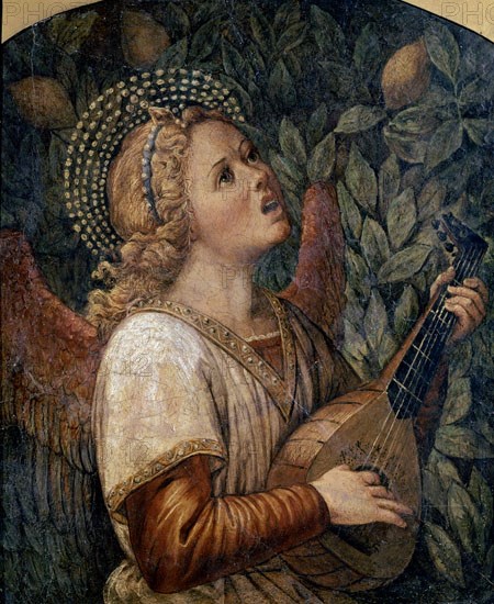 da Forlì, Music-making Angel
