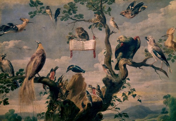 Snyders, A Concert of birds