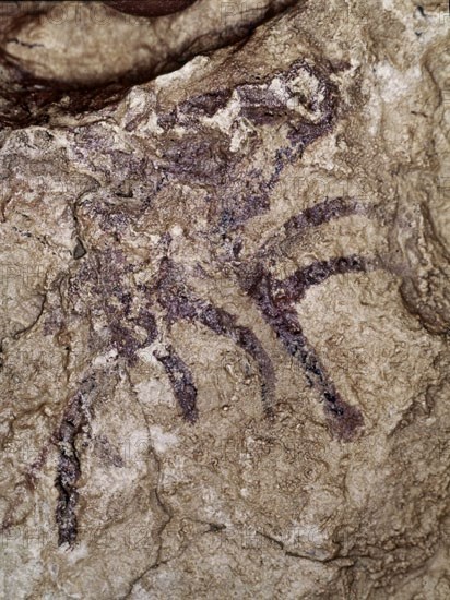 ABRIGO SALTADORA-P RUPESTRE-CABEZA CIERVO. EPIPALEOLITICO Y MESOLITICO 8000-1200 A.C.
PROVINCIA, BARRANCO VALLTORTA
CASTELLON