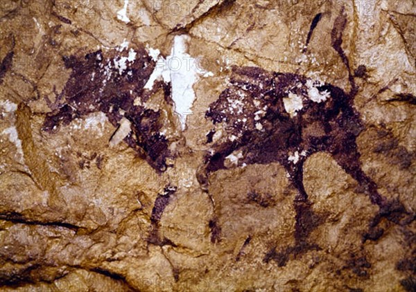 ABRIGO MAS D'EN JOSEP-PINTURA  RUPESTRE - ANIMAL EPIPALEOTICO Y MESOLITICO - 8000-1200 AC
PROVINCIA, BARRANCO VALLTORTA
CASTELLON