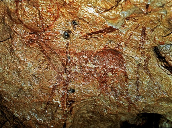PINTURA RUPESTRE- CIERVO- EPOCA MESOLITICA
PROVINCIA, CUEVA DE ALPERA
ALBACETE
This image is not downloadable. Contact us for the high res.