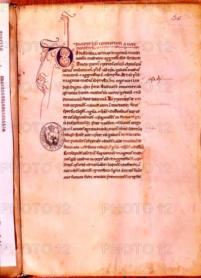 TEOFILO
MS L-III-18-INCIPIT LIBER URINARUM A VOCE THEOPHYLI.FOL 50
SAN LORENZO DEL ESCORIAL, MONASTERIO-BIBLIOTECA
MADRID