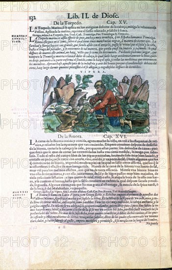 Dioscorides, Livre de médecine