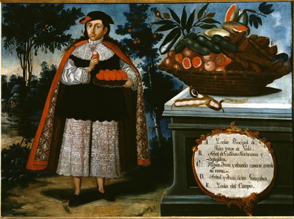 ALBAN VICENTE
INDIO PRINCIPAL DE QUITO EN TRAJE DE GALA - 1783- PINTURA COLONIAL S XVIII-ESCUELA QUITEÑA
MADRID, MUSEO DE AMERICA
MADRID