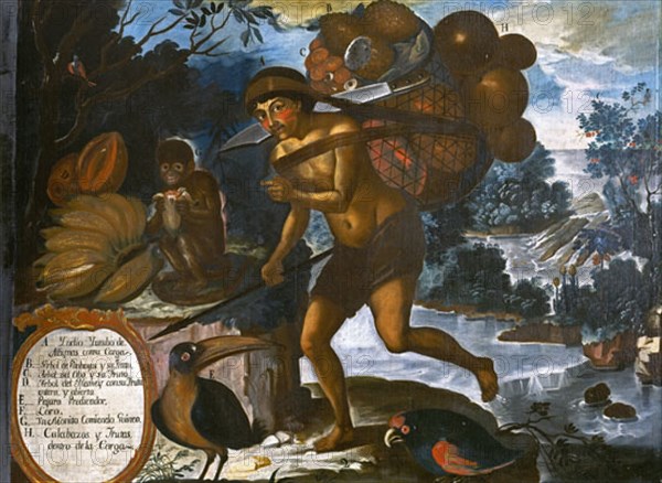 ALBAN VICENTE
INDIO CON FRUTOS - 1783- PINTURA COLONIAL S XVIII-ESCUELA QUITEÑA
MADRID, MUSEO DE AMERICA
MADRID