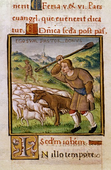 Evangelistary: The Good Shepherd, the Wolves and the Flock