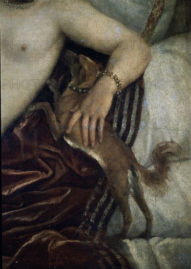 Titian, Venus entertaining herself with music - Detail of the little dog