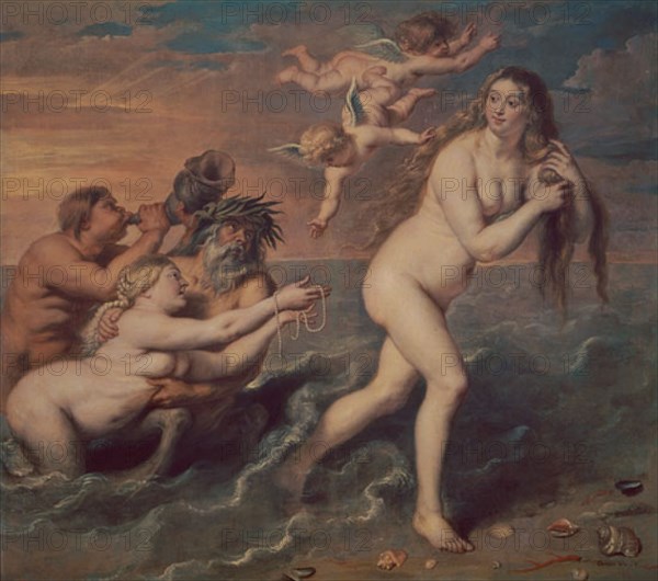 VOS PAUL DE 1596/1678
VENUS SALIENDO DE LA ESPUMA DEL MAR
MADRID, MUSEO DEL PRADO-PINTURA
MADRID