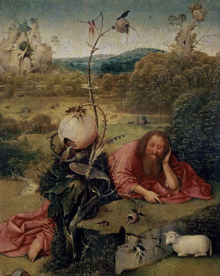 BOSCO EL 1450/1516
SAN JUAN BTA EN MEDITACION
Madrid, musée Lazaro Galdiano