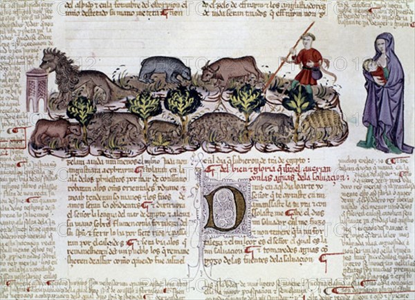 BIBLIA DE ALBA.1420/30:ISAÍAS 11-12, EL RETOÑO DE JESSE,PROMESA DEL SALVADOR
MADRID, COLECCION DUQUES DE ALBA
MADRID
This image is not downloadable. Contact us for the high res.