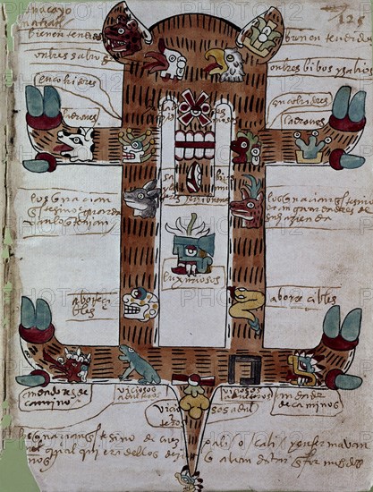 Codex Tudela