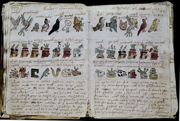 Codex Tudela - Calendrier de cérémonie avec dessins de divinités et fêtes indigènes