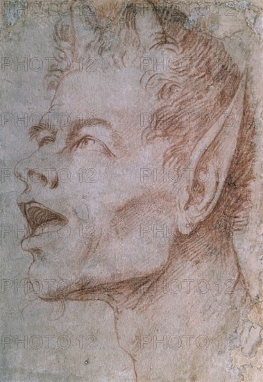 RIBERA JOSE DE 1591/1652
SANGUINA-CABEZA DE SATIRO-(COL DE ELISHA WHITTELSEY)
NUEVA YORK, MUSEO METROPOLITANO
EEUU