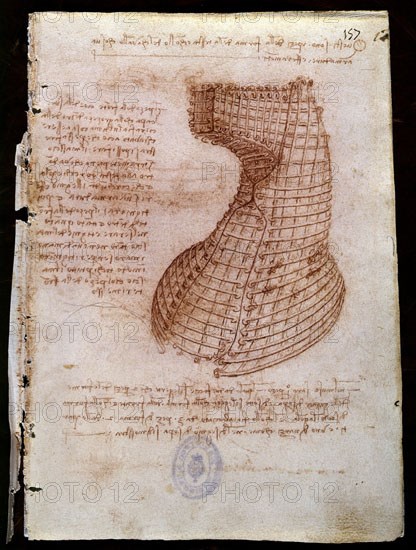 Vinci, Dessin d'une structure en forme de cheval (codex)