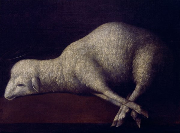 Zurbaran, Agnus Dei