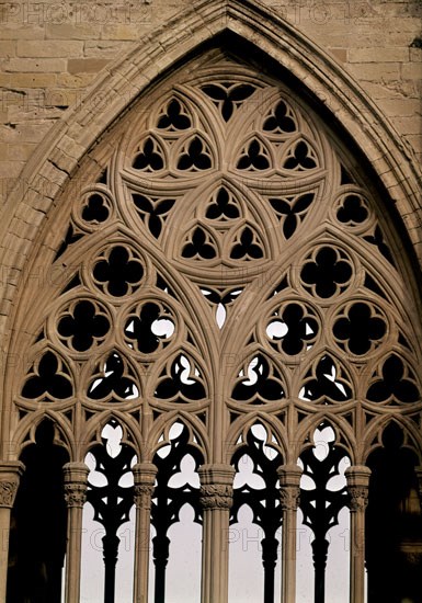 CLAUSTRO-DETALLE DE ARCO OJIVAL CON CRESTERIA-S XIV-ARQUITECTURA GOTICA
LERIDA, CATEDRAL VIEJA
LERIDA

This image is not downloadable. Contact us for the high res.
