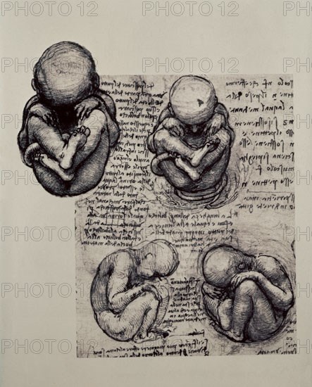VINCI LEONARDO 1452/1519
FORMAS DEL FETO
PARIS, BIBLIOTECA NACIONAL
FRANCIA