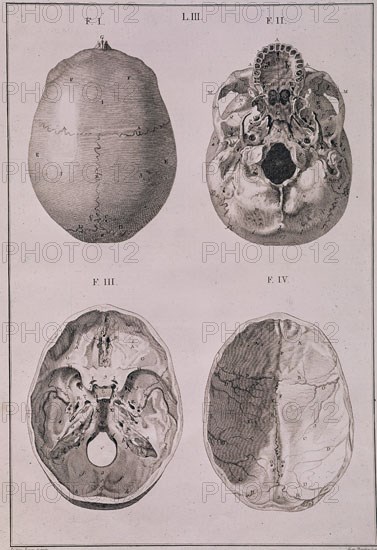 LACABA I
ANATOMIA-LAMINA III-CRANEOS
MADRID, BIBLIOTECA NACIONAL
MADRID