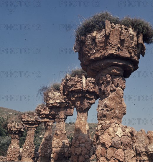 GAUDI ANTONI 1852-1926
VISTA
BARCELONA, PARQUE GÜELL
BARCELONA
This image is not downloadable. Contact us for the high res.