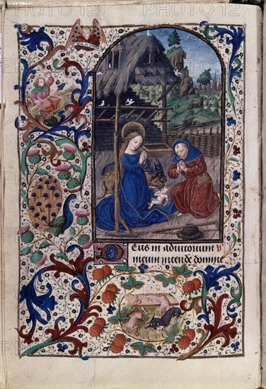 Livre d'heures, Nativité