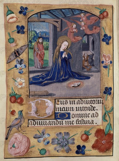 Livre d'heures, Nativité