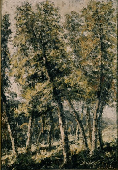 RIANCHO AGUSTIN 1841-1929
EL ROBLEDAL
SANTANDER, COLECCION PARTICULAR
CANTABRIA
This image is not downloadable. Contact us for the high res.