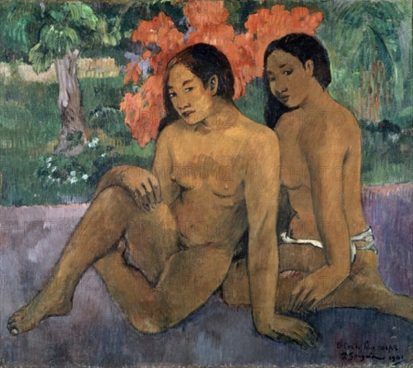 GAUGUIN PAUL 1848/1903
EL ORO DE LOS CUERPOS 1901
PARIS, MUSEO DE ORSAY
FRANCIA