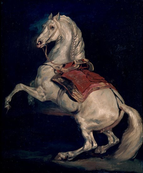 GERICAULT THEODORE 1791/1824
ETALON TAMERLAN-CABALLO DE NAPOLEON
RUAN, MUSEO BELLAS ARTES
FRANCIA