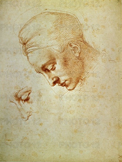 MIGUEL ANGEL 1475-1564
DIBUJO-ESTUDIO DE CABEZA
FLORENCIA, GALERIA DE LOS UFFIZI
ITALIA

This image is not downloadable. Contact us for the high res.