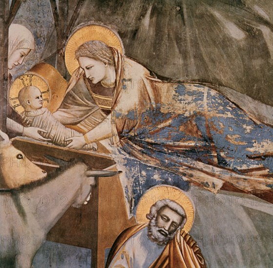Giotto, Nativité