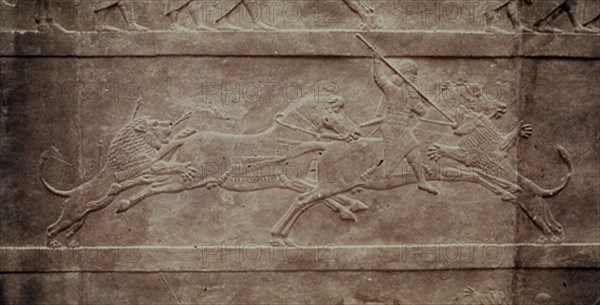 ASURBANIPAL CAZANDO-RELIEVE
LONDRES, BRITISH MUSEUM
INGLATERRA

This image is not downloadable. Contact us for the high res.