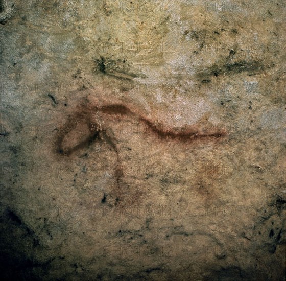 PINTURAS RUPESTRES - CABALLO - PALEOLITICO SUPERIOR
BENAOJAN, CUEVA PILETA
MALAGA