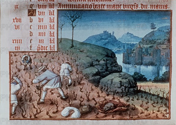 LIBRO DE HORAS DE 1430- CORTANDO SARMIENTOS- PODA - AL MODO DEL LIBRO HORAS DEL DUQUE DE BERRY
PARIS, BIBLIOTECA NACIONAL
FRANCIA
This image is not downloadable. Contact us for the high res.