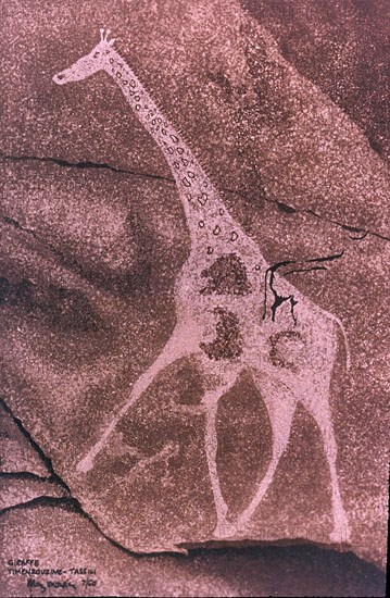 ABRIGO TIMEZOUZINE-P RUPESTRE-JIRAFA
TASSILI, ABRIGOS SAHARA
ARGELIA