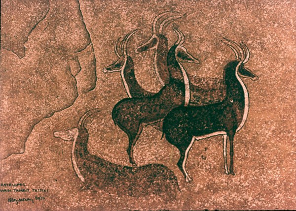 ABRIGO WADI TAMRIT-P RUPESTRE-ANTILOPES
TASSILI, ABRIGOS SAHARA
ARGELIA