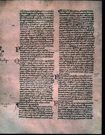 *MANUSCRITO ARABE S XIV-ABU AMIR MUHAMAD
MILAN, B AMBROSIANA
ITALIA