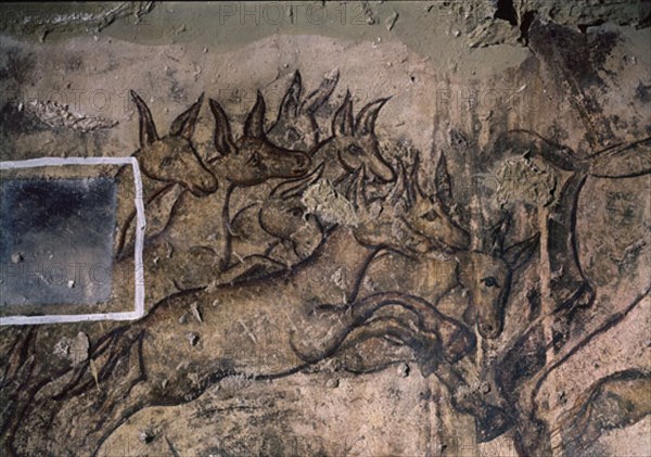 INTERIOR - PINTURA MURAL - DET DEL GRAN PANEL CON LA CACERIA DE ONAGROS - S VIII
QUSEIR AMRA, CASTILLO
JORDANIA
This image is not downloadable. Contact us for the high res.