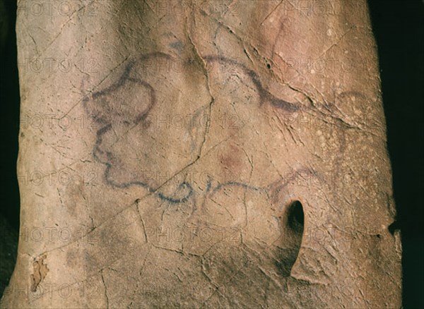 PINTURA RUPESTRE - BISONTE PINTADO ENTRE 13000 Y 10000 AC - MAGDALENIENSE
PUENTE VIESGO, CUEVA DEL CASTILLO
CANTABRIA