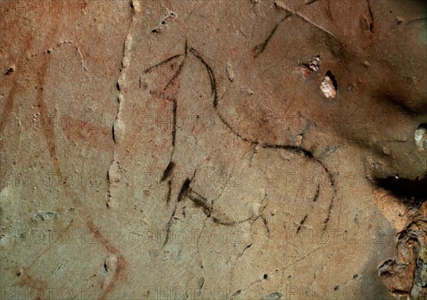 PINTURA RUPESTRE DE UN CABALLO EN LA CUEVA DE LA PASIEGA - PALEOLITICO SUPERIOR
PUENTE VIESGO, CUEVA DE LA PASIEGA
CANTABRIA