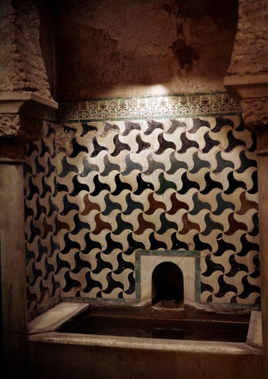 DET PILA TEPIDARIO - S XIV
GRANADA, ALHAMBRA-BAÑOS REALES
GRANADA
This image is not downloadable. Contact us for the high res.