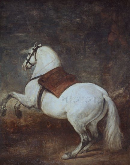 Vélasquez, Cheval blanc