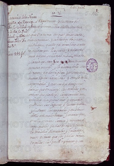 FERNANDEZ SALAZAR F
CRONICA DE LA NUEVA ESPANA
MADRID, BIBLIOTECA NACIONAL
MADRID