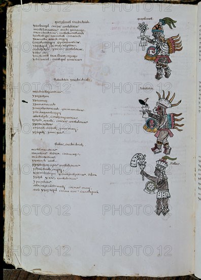 Codex Florentin (Codice matritensis)