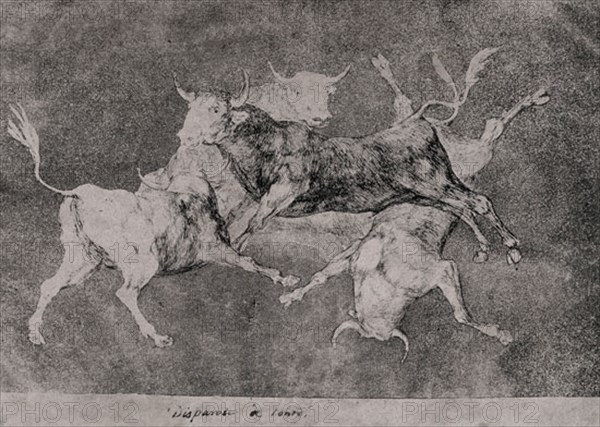 Goya, Dessin  - Sottise - Tirs de Fous